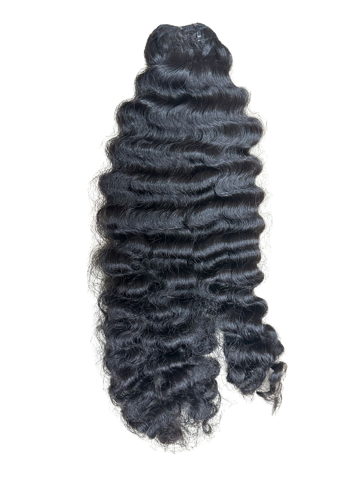 Burmese Curly